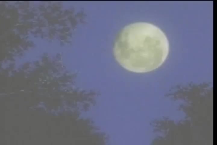 [Tsukyio Editing Resources] Hellsing (Episode 5) Raw Clips (157) (tsukyio.com).mp4